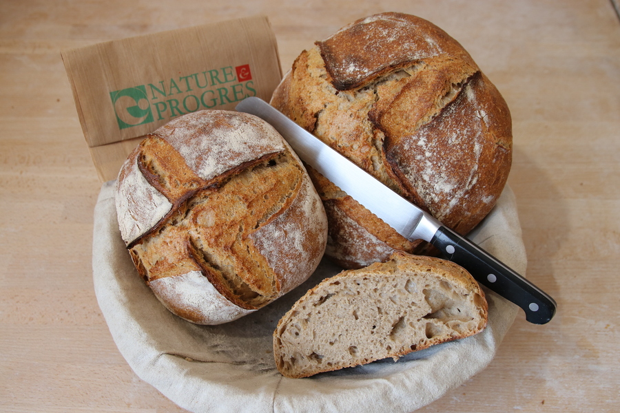 Photo pain de campagne La trémèze